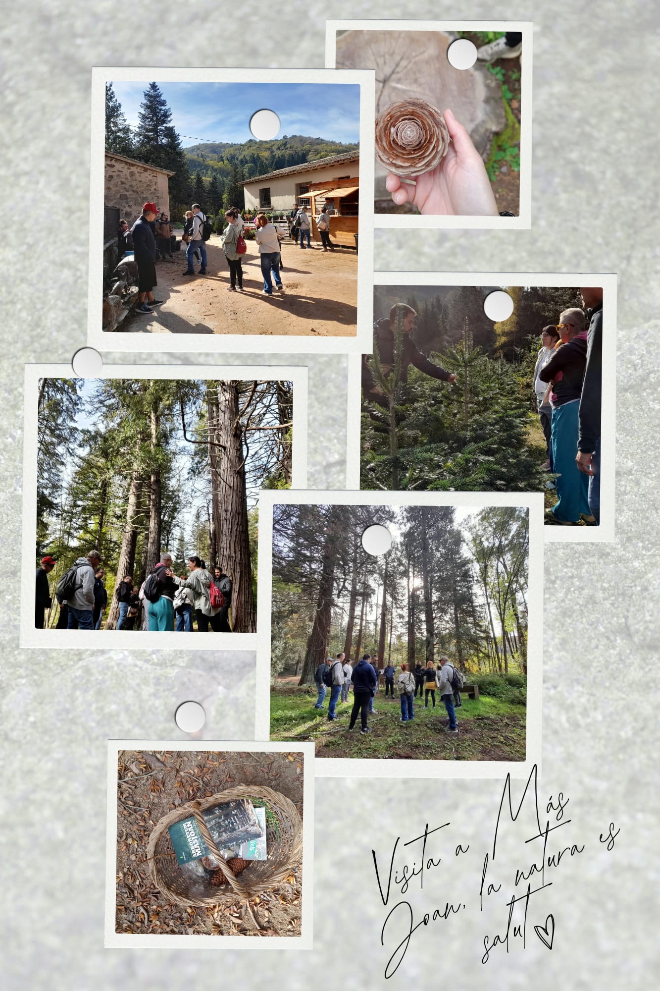 Una jornada de naturaleza y bienestar en el Mas Joan d'Espinelves